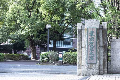 東京 農業 大学 繰り上げ 合格 2022