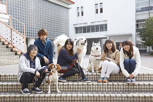 日本獣医生命科学大学 (2023年度) (獣医学部獣医学科入試問題と解答)
