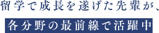留学で成長を遂げた先輩が、各分野の最前線で活躍中