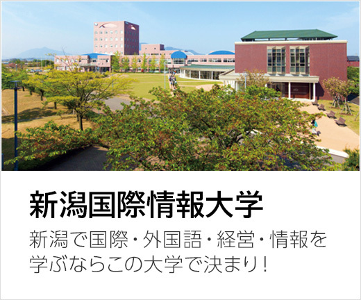 新潟国際情報大学