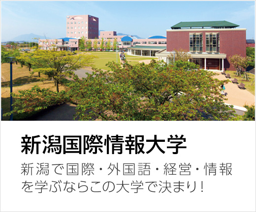新潟国際情報大学