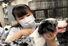中部コンピュータ・パティシエ専門学校