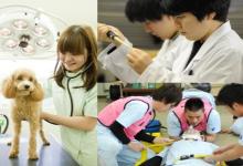 湘央生命科学技術専門学校