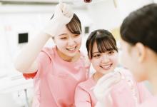 日本医歯薬専門学校