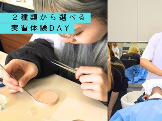 画像ALT