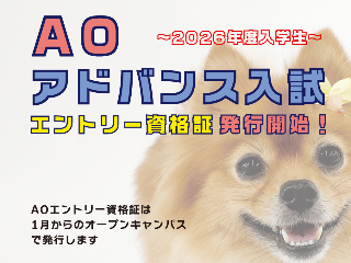 画像ALT