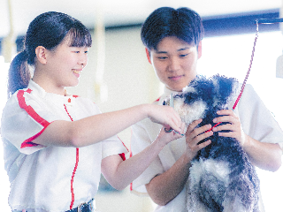 大阪動物専門学校