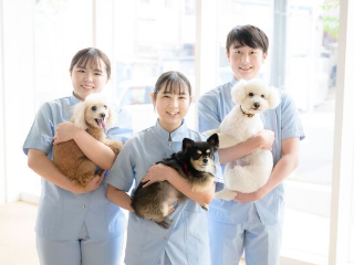 ヤマザキ動物専門学校