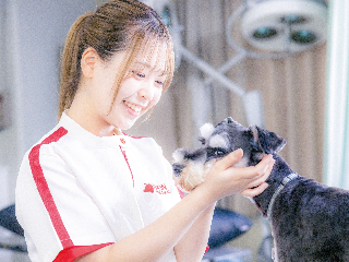 名古屋動物専門学校