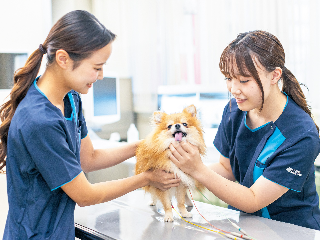 日本動物専門学校