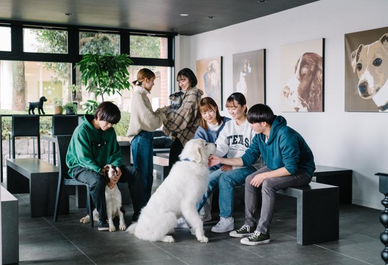群馬動物専門学校