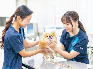 大阪動物専門学校天王寺校