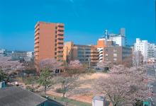 広島コンピュータ専門学校