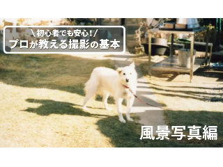 画像ALT