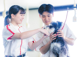 専門学校日本動物２１