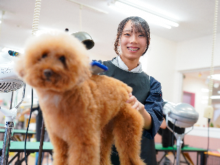 画像ALT