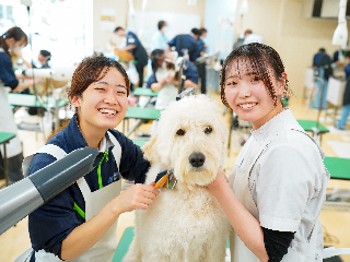 国際ペットワールド専門学校