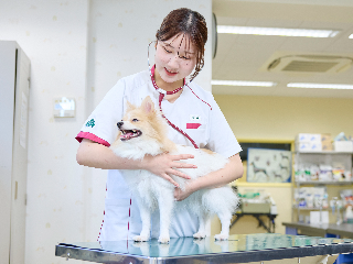 画像ALT