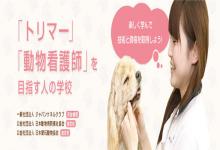 東北愛犬専門学院