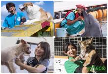 TCA東京ECO動物海洋専門学校